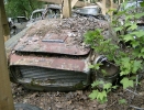 Autofriedhof Kaufdorf 