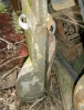 Autofriedhof Kaufdorf 